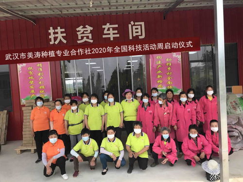 科技赋能农业 美涛助力乡村振兴——武汉美涛积极参与全国科技活动周纪实