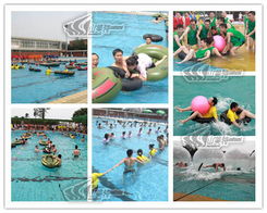 山美特 专业体验式拓展训练，打造卓越团队凝聚力